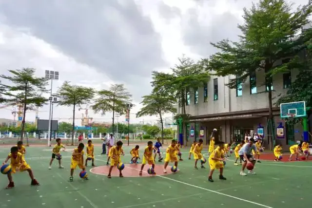 青少年篮球爱好者综合训练方案_1